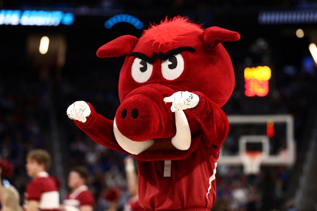 Arkansas Razorbacks mascot Duke Blue Devils Men's Basketball Tournament.