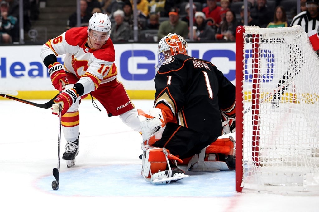 Nikita Zadorov Calgary Flames Lukas Dostal Anaheim Ducks