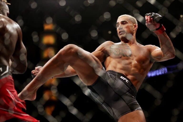 Carlos Ulberg vs Fabio Cherant at UFC 271