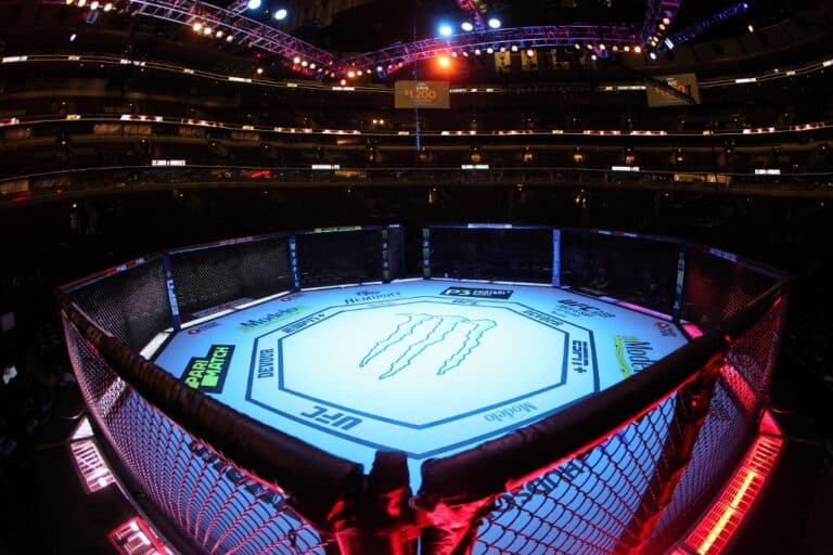 General View Octagon UFC 238