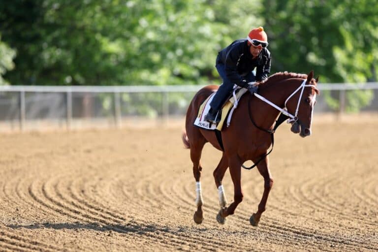 How Does Sports Betting Work A Comprehensive Guide to Online Sports