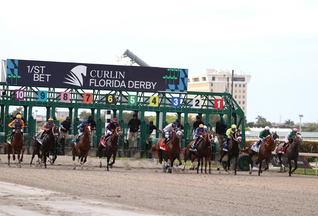 Arkansas, Florida & UAE Derby 2024 Picks Florida Derby at Gulfstream Park