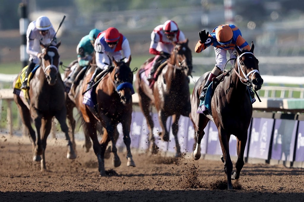 Fierceness Kentucky Derby 2024 Breeders' Cup 2023