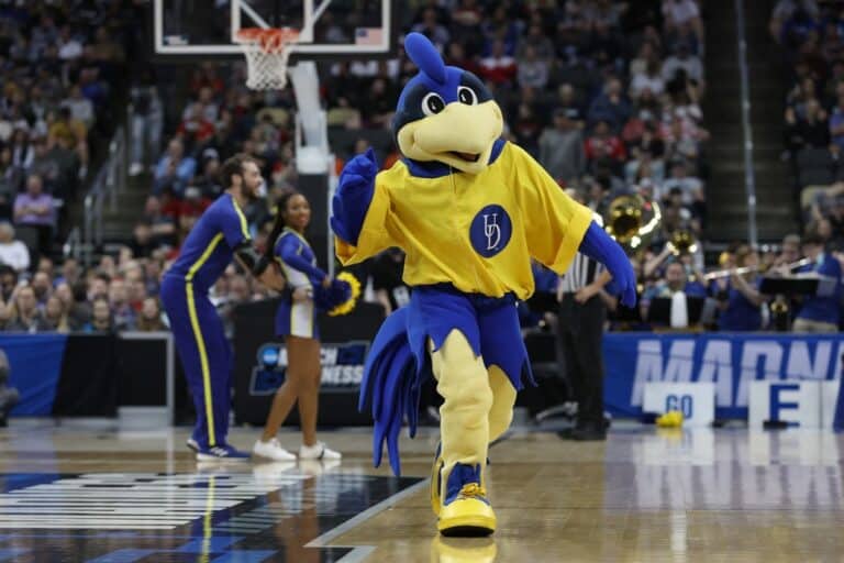 Delaware Fightin Blue Hens Mascot YoUDee