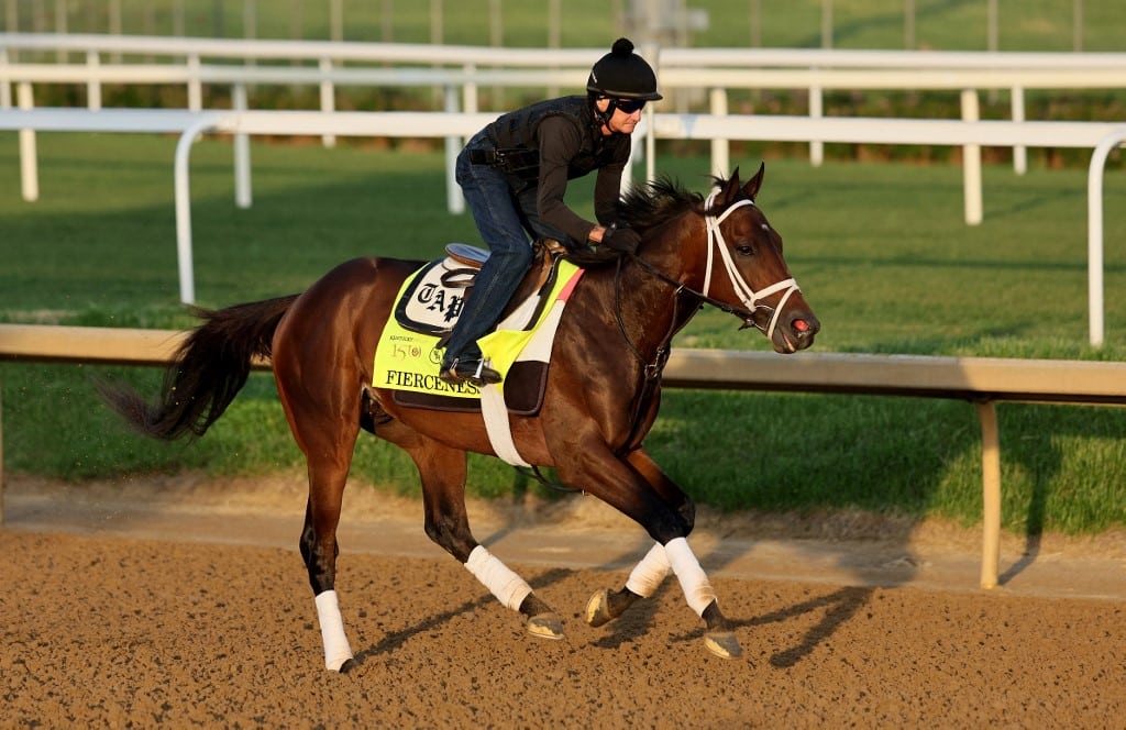 Fierceness Morning Training for Kentucky Derby