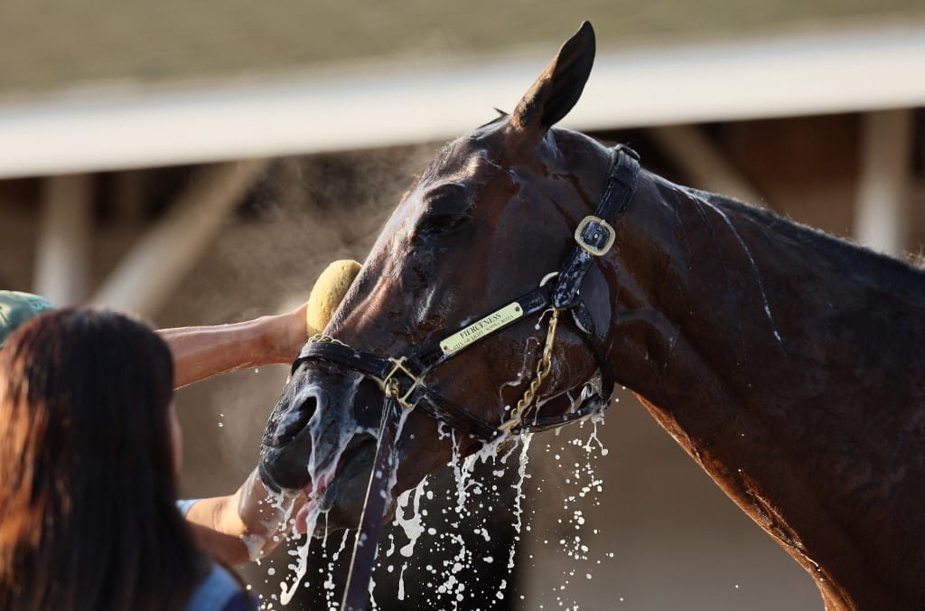 Kentucky Derby Fierceness