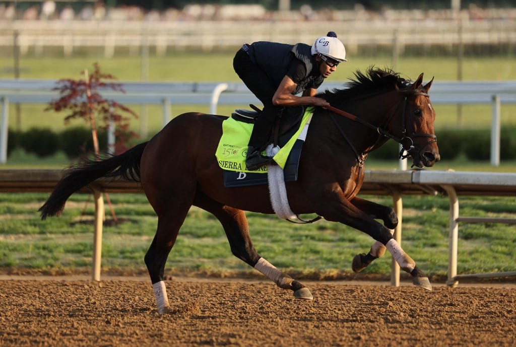 Kentucky Derby betting preview sierra leone